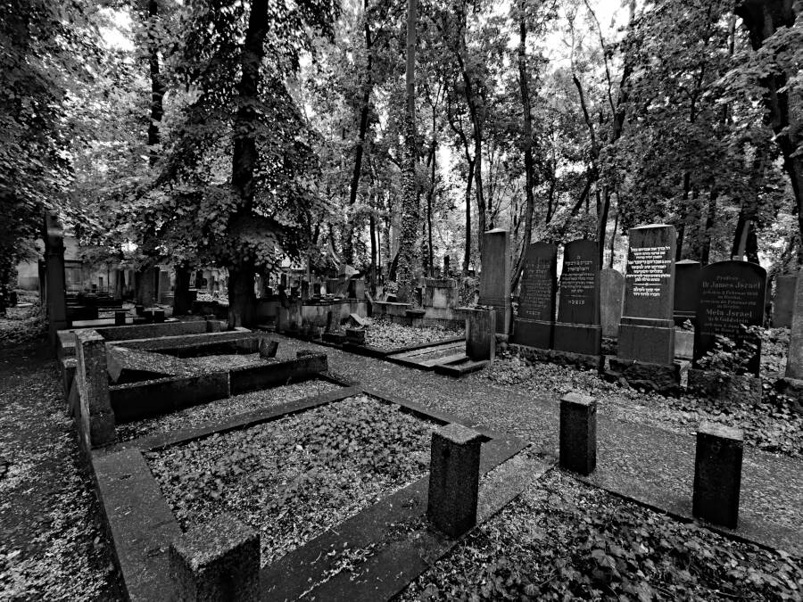 Jüdischer Friedhof Schönhauser Allee
